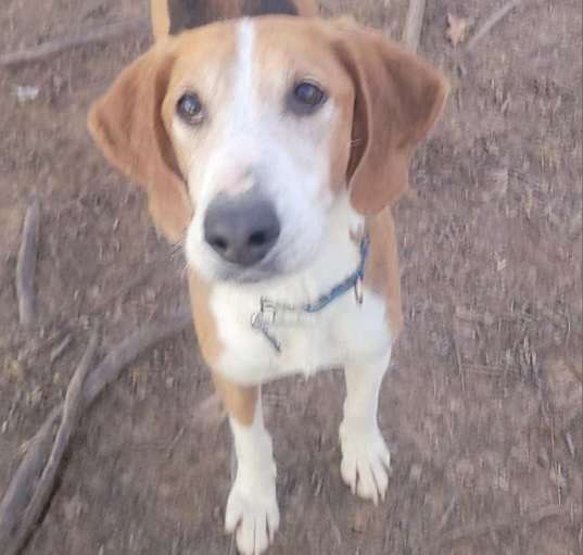 Photo of Jolly