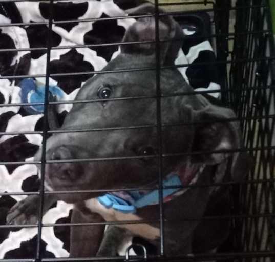 Photo of Blue