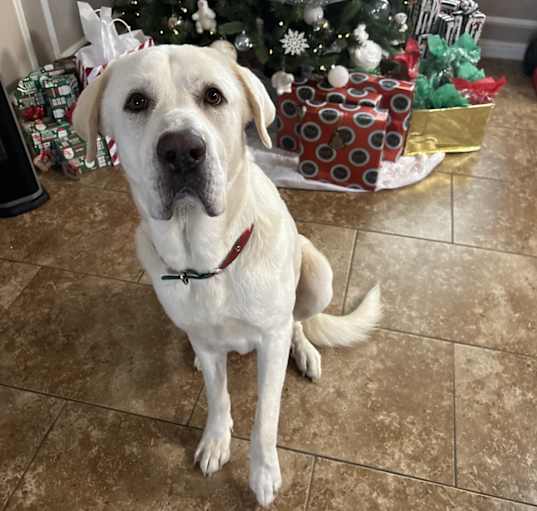 Photo of Max
