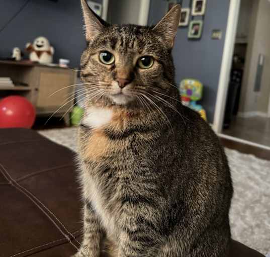 Photo of Momma
