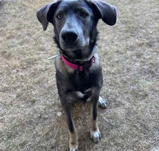 Photo of Athena