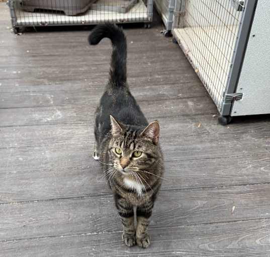 Photo of Lily