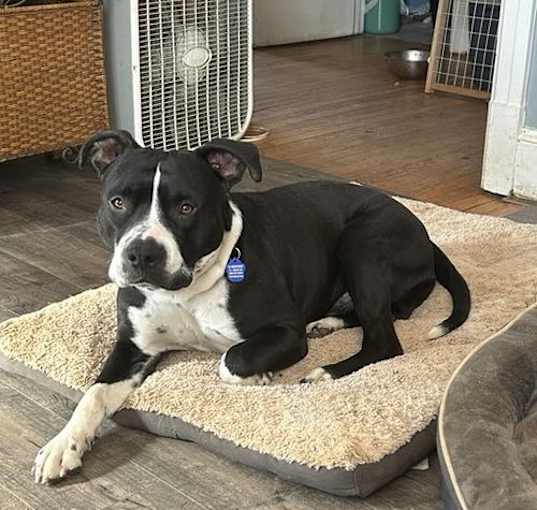 Photo of Socks