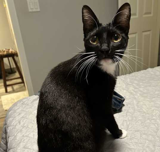 Photo of Mazy