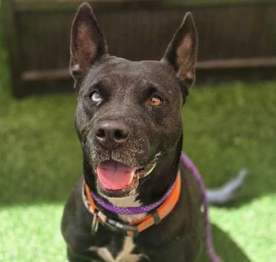 Photo of GERTIE