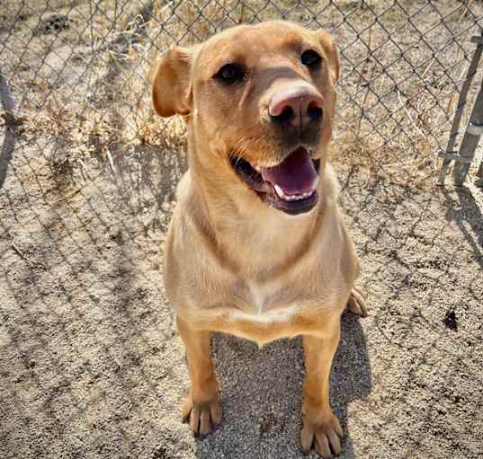 Photo of Macy