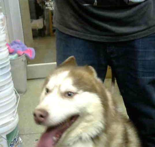 Photo of CODA