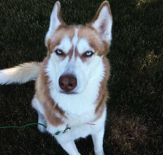 Photo of Minka