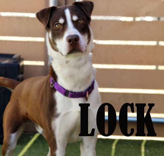 Photo of Lock