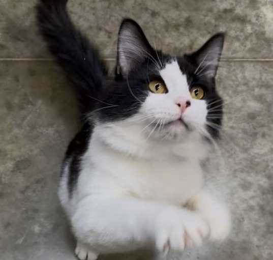 Photo of Marcello