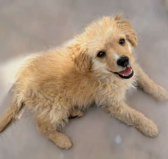 Photo of Bobby