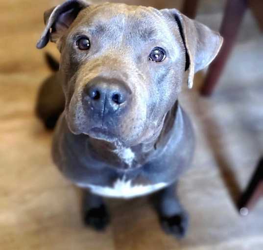 Photo of Morgan