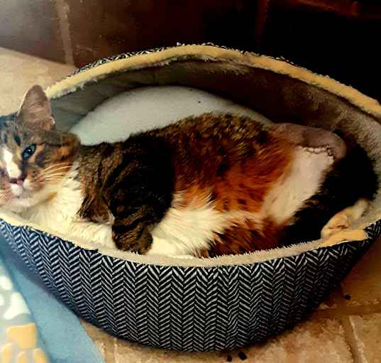 Photo of Big daddy