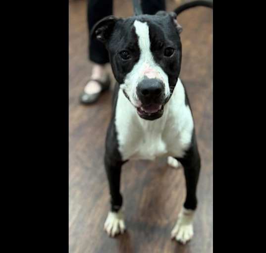 Photo of Banksy