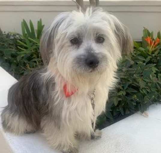 Photo of ELODIE