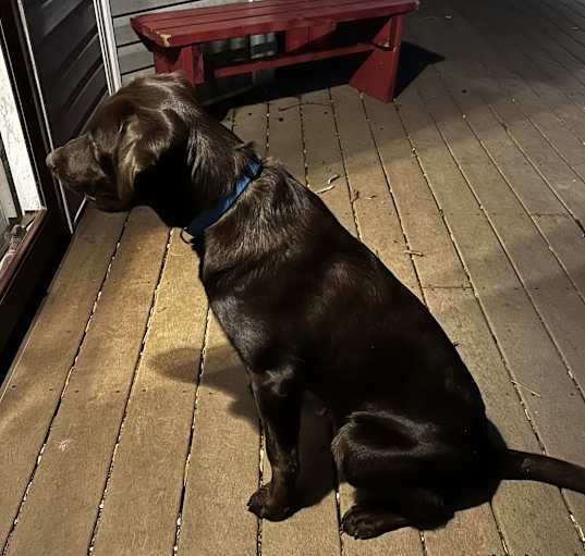 Photo of Atlas