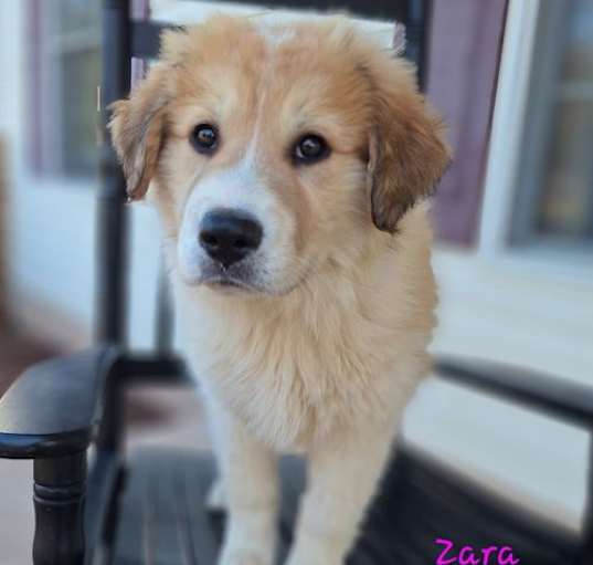 Photo of Zara