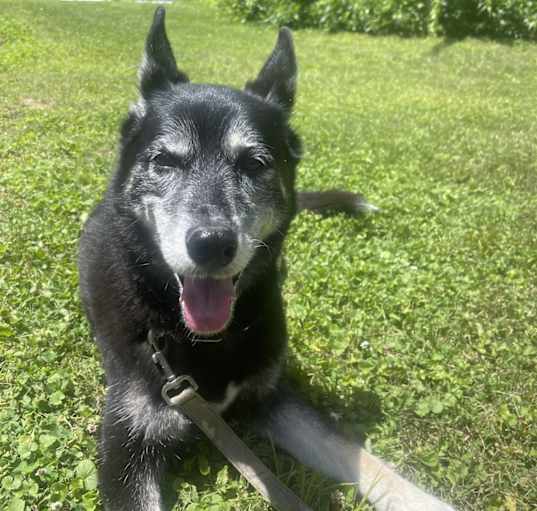 Photo of Rubi