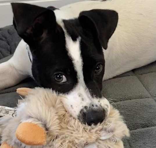 Photo of Lucy