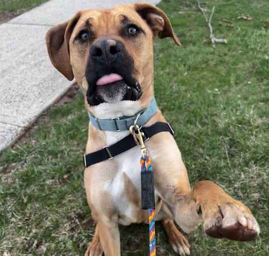 Photo of Thor