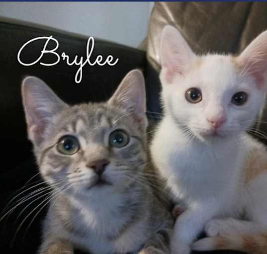 Photo of Brylee