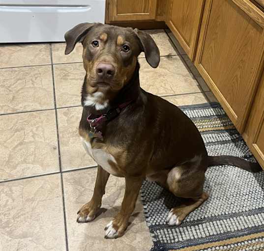 Photo of Duke