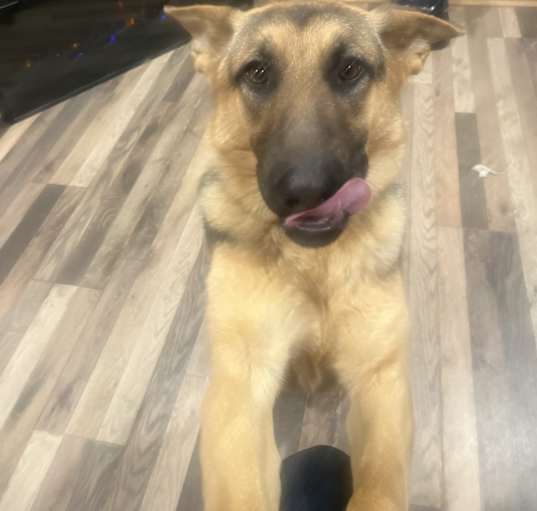 Photo of Echo