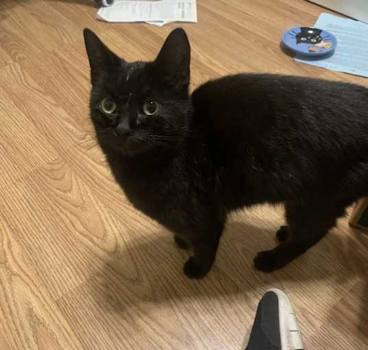 Photo of Jiji