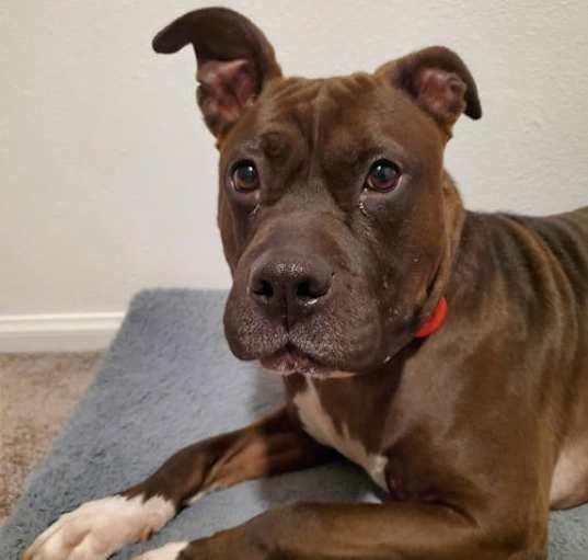 Photo of Freya pretty pitty