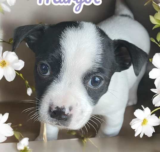 Photo of Margot