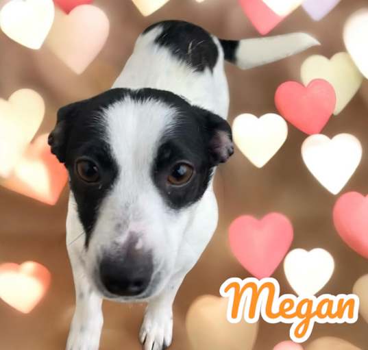 Photo of Megan