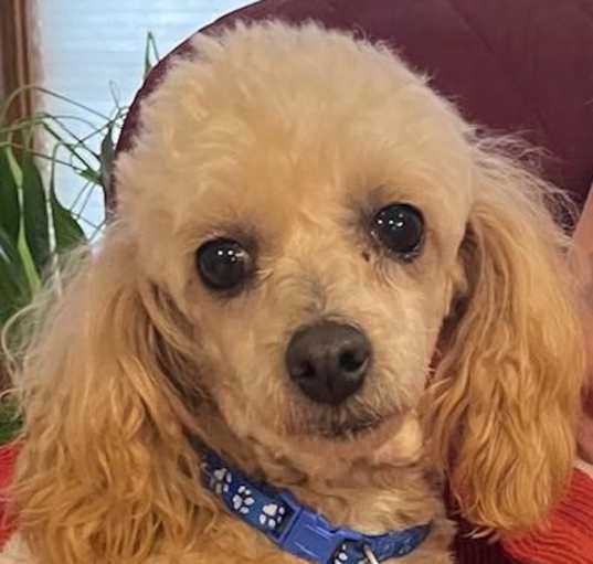 Photo of Tina