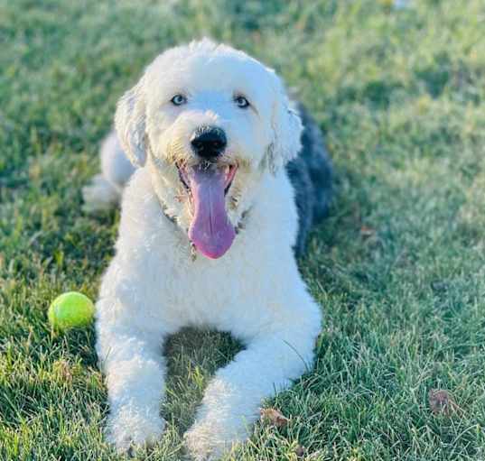 Photo of Elsa