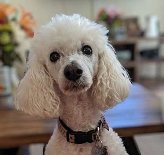 Photo of Tina