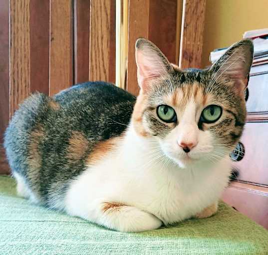 Photo of Wendy