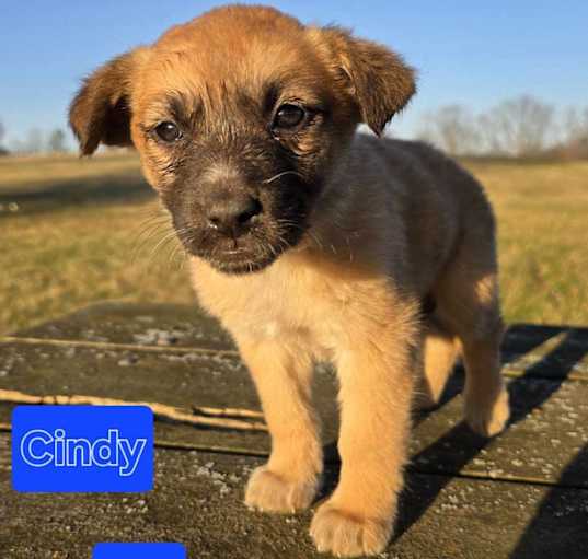 Photo of Cindy