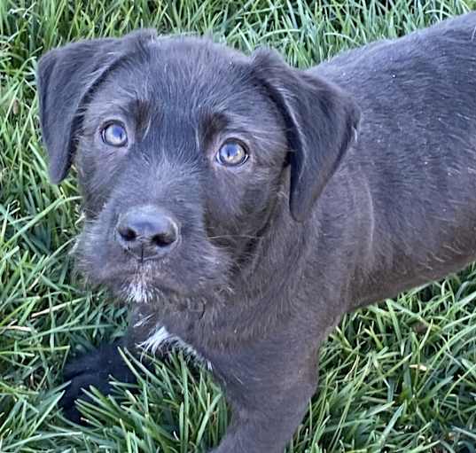 Photo of Sully3