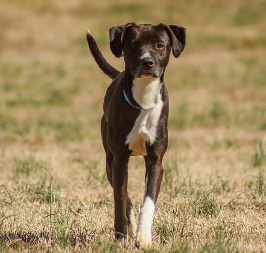 Photo of Cyrus