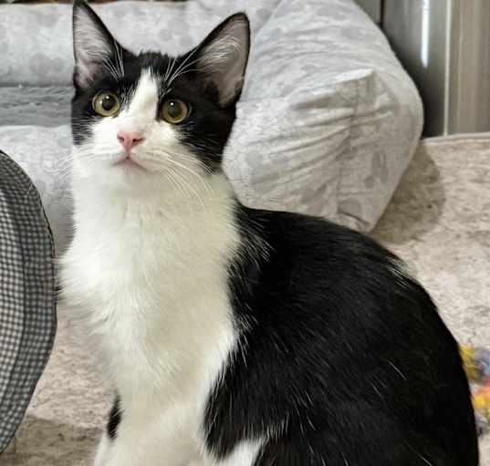 Photo of Dorothy