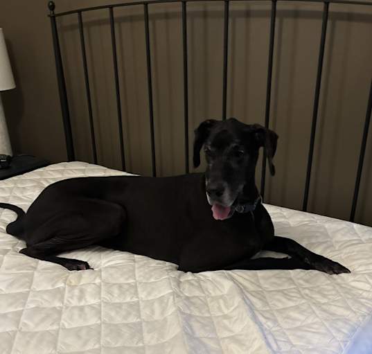 Photo of Lucy