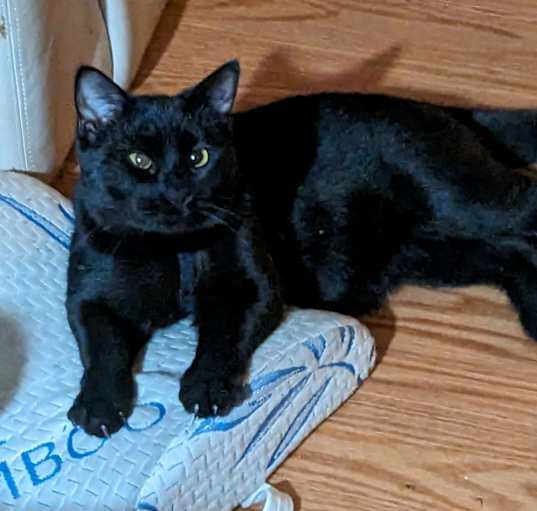 Photo of Argus