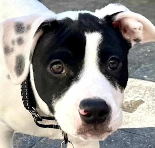 Photo of LUCKY