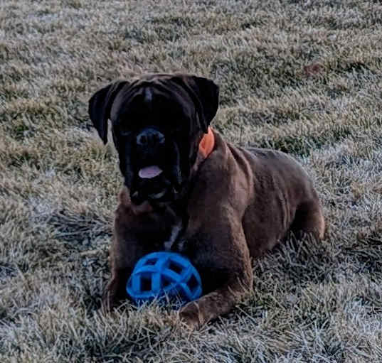 Photo of Yoshi
