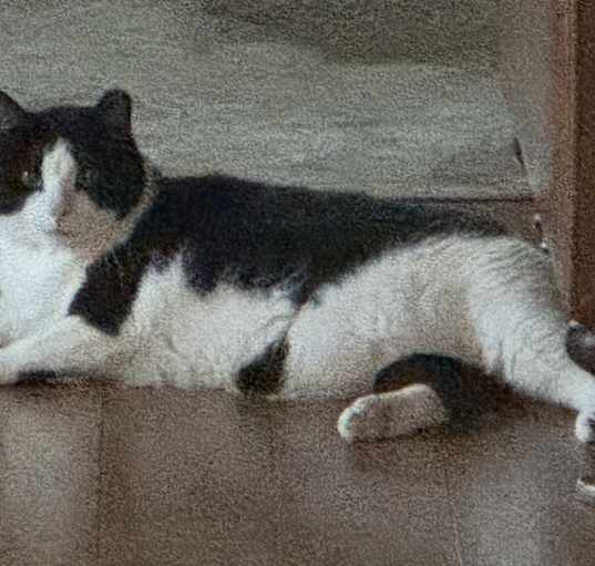 Photo of Charles butterball