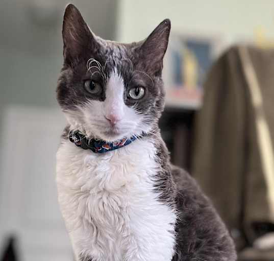 Photo of Sparkle