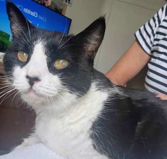Photo of Petey