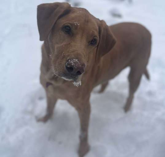 Photo of Jax
