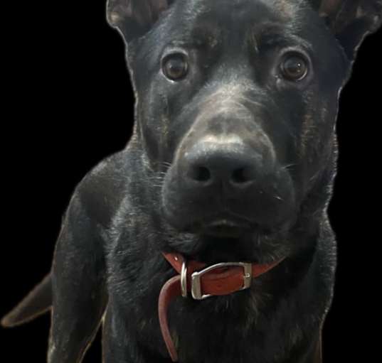 Photo of Zeke