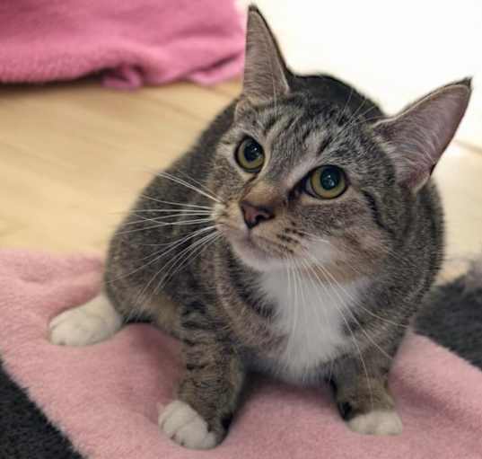 Photo of DEWEY