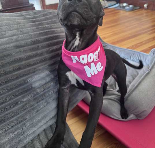 Photo of Lacie